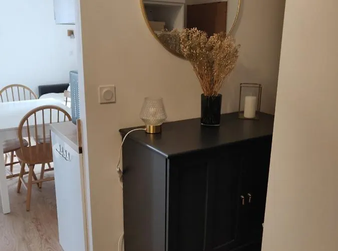 Neuf 4-6 Pers. Aux Pieds Des Pistes アパート Génos